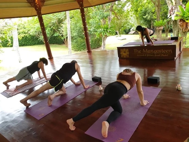 15 Day AyurYoga Medic+ Ayurveda Retreat in Rawai, Phuket, Thailand