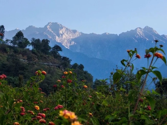 8 Day Seven Chakra Journey With Yoga, Meditation, Breath, and Bodywork in the Himalayas, India