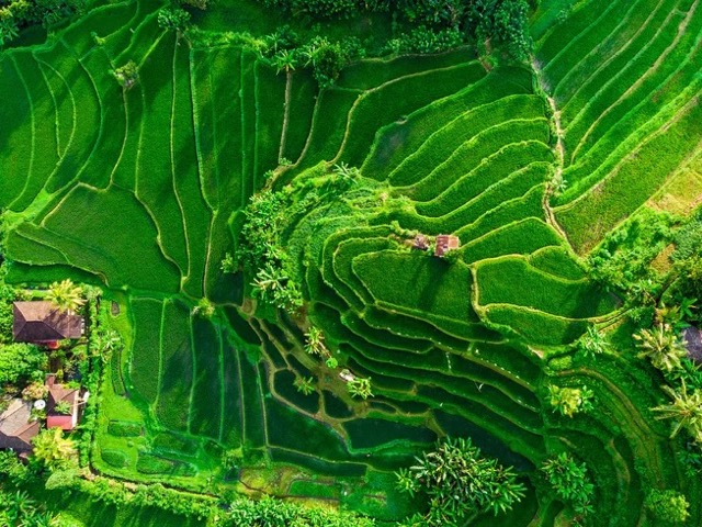 10 Day Inner Healing Balinese Watukaru Yoga, Culture & Meditation Holistic Retreat in Indonesia