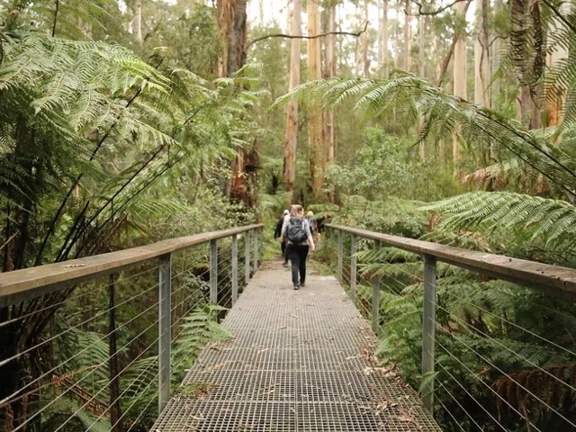 4 Day Yoga and Hiking Retreat in Northern Rivers, NSW, Australia with Lifestyle Workshops