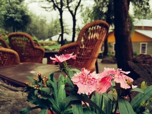 8 Day Seven Chakra Journey With Yoga, Meditation, Breath, and Bodywork in the Himalayas, India