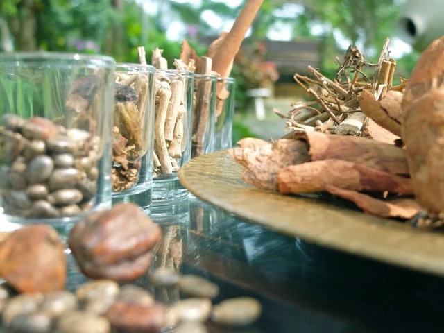 22 Day Panchakarma Ayurveda Retreat with Meditation and Yoga in Kalutara, Sri Lanka