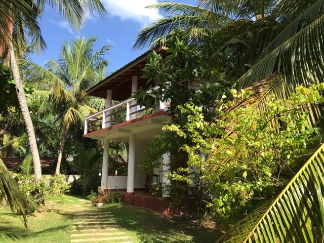 7 Day Qigong and Yin Yoga Retreat in Tangalle, Southern Province, Sri Lanka