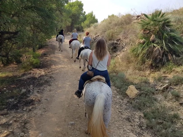 5 Day Yoga Retreat with Beach and Nature on an Organic Farm in Spain