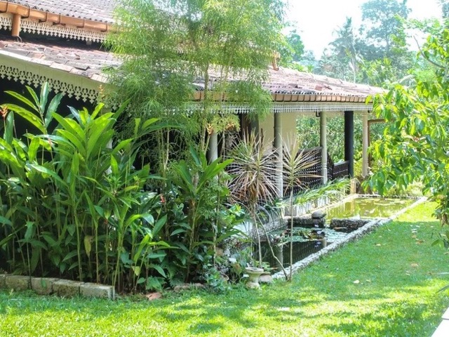 22 Day Panchakarma Ayurveda Retreat with Meditation and Yoga in Kalutara, Sri Lanka