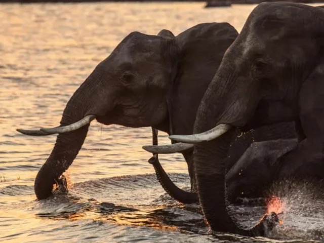 7 Days Women-Only Yoga and Wellness Retreat on the Golden Shores of Ahangama, Sri Lanka