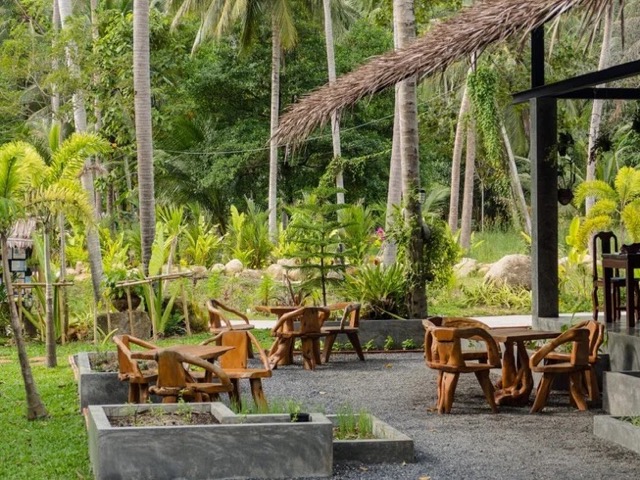 8 Day Yoga and Meditation, Vegan Wellness Retreat and More in Koh Phangan, Thailand