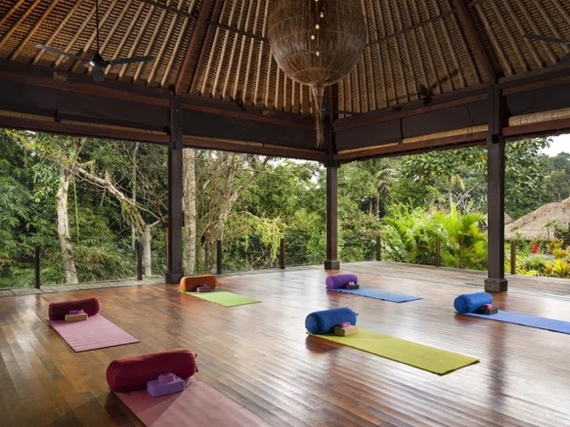 8 Day Stress Relief Ayurveda, Meditation, and Yoga Holiday Ubud, Bali, Indonesia