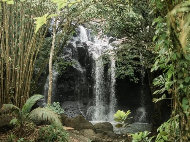 6 Day Women's Soul Awakening Retreat in Bali, Indonesia