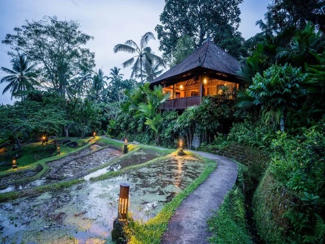 7 Day Bali Meditation Retreat in Tabanan, Indonesia
