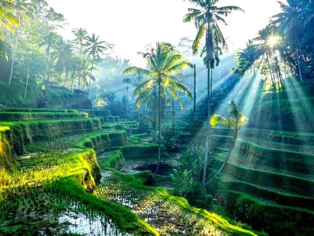10 Day Inner Healing Balinese Watukaru Yoga, Culture & Meditation Holistic Retreat in Indonesia