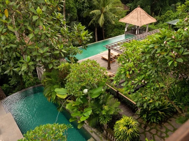 8 Day Stress Relief Ayurveda, Meditation, and Yoga Holiday Ubud, Bali, Indonesia