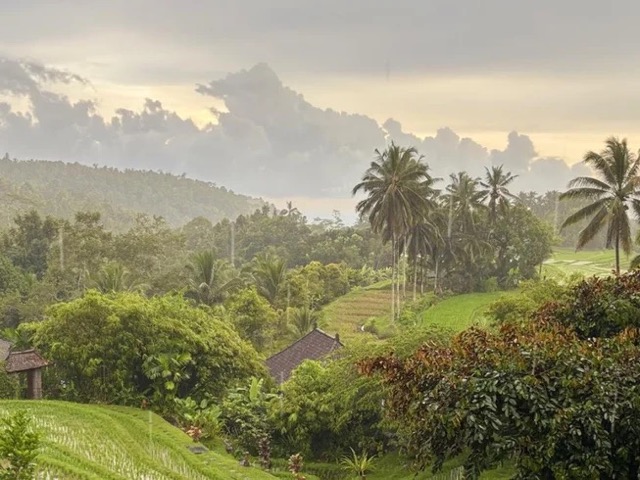 7 Day Bali Meditation Retreat in Tabanan, Indonesia