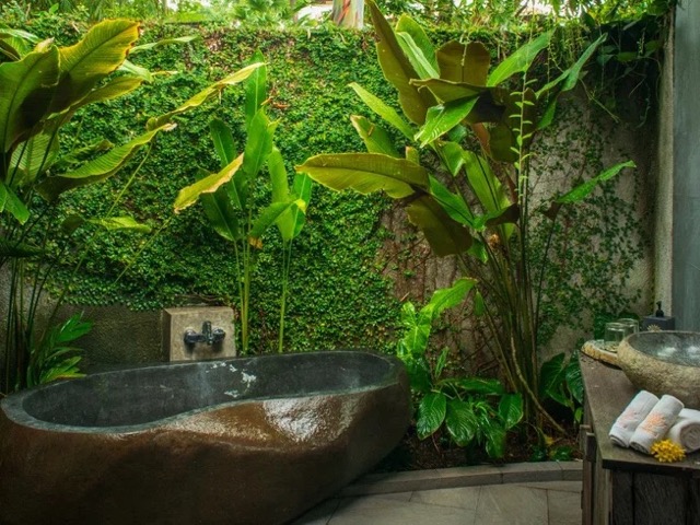 8 Day Eco-lux Yoga, Meditation, and Ayurvedic Well-being Retreat in Bali, Indonesia