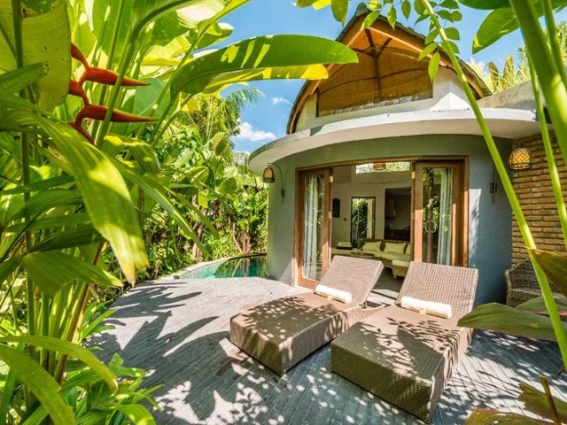 8 Day Eco-lux Yoga, Meditation, and Ayurvedic Well-being Retreat in Bali, Indonesia