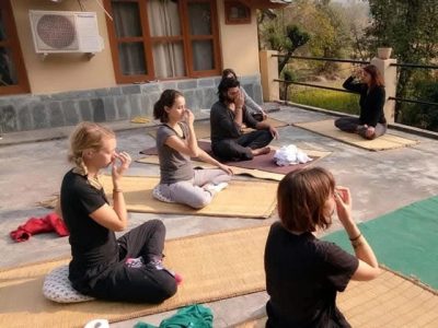 30 Day Online Meditation TTC: Guide to the Mind