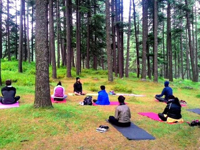 8 Day Seven Chakra Journey With Yoga, Meditation, Breath, and Bodywork in the Himalayas, India