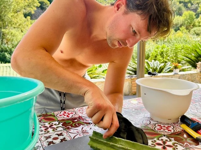 5 Day Holistic Ayahuasca Release Retreat with Kambo - Exclusive Small group in Málaga, Spain