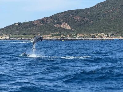 7 Day Sailing, Yoga, and Wellness Tour in Sardinia, Italy and Corsica, France