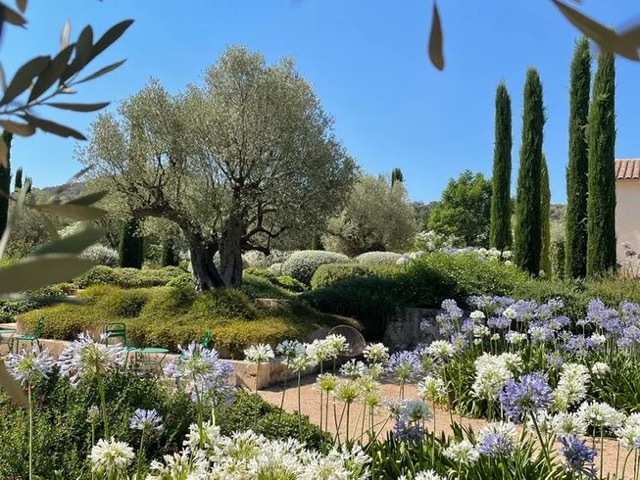 8 Day 70-Hour The Essence of Being Yin Yoga Teacher Training in Mallorca, Spain