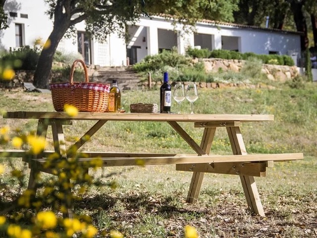 6 Day Embrace Yourself, Nature, Horses, Sound Massage, Coaching, Yoga, Mindfulness in Southern Spain