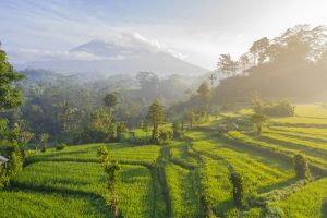 longevity, medical wellness, nature retreat