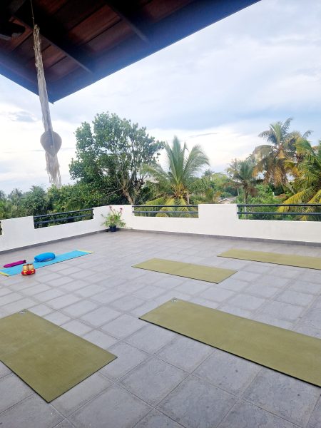 Blue Lotus Yoga House