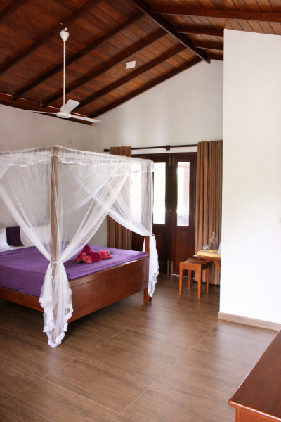 Blue Lotus Yoga House
